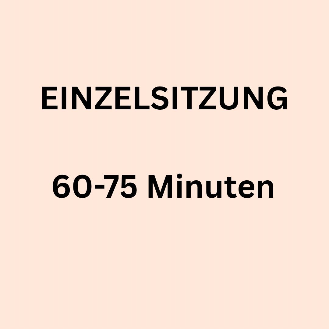 Online Coaching Sitzung -->120 CHF