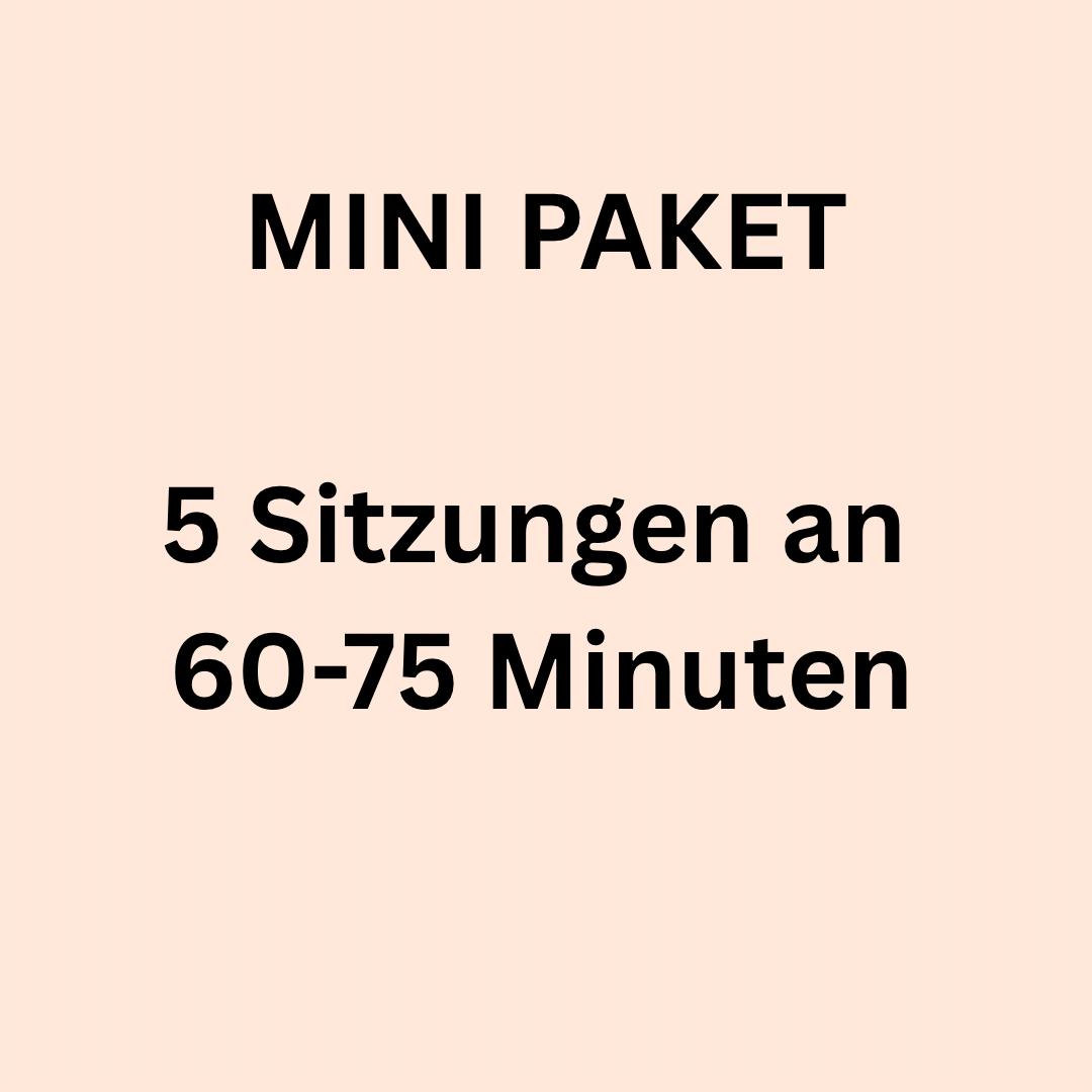 5 Online Coaching-Sitzungen → CHF 550.